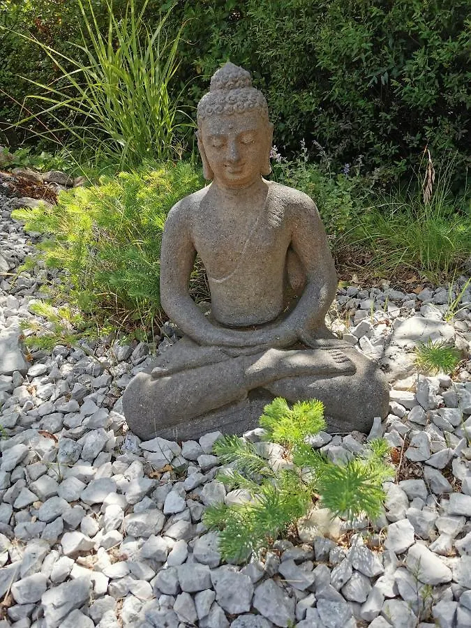Le Clos De La Chardonniere Bed & Breakfast Saulce-sur-Rhone Guest house